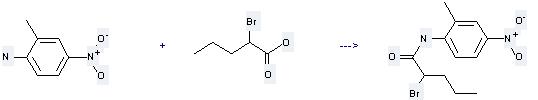 2-Bromovaleric acid can be used to produce 2-bromo-pentanoic acid (2-methyl-4-nitro-phenyl)-amide by heating